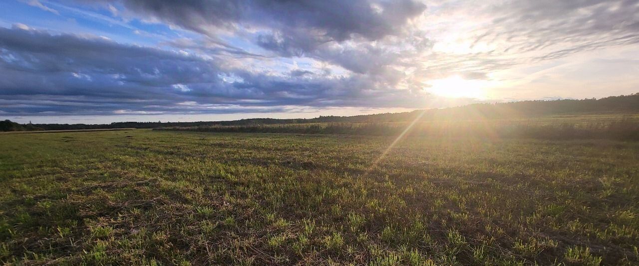 земля р-н Волховский д Подрябинье ул Луговая Сясьстройское городское поселение фото 3