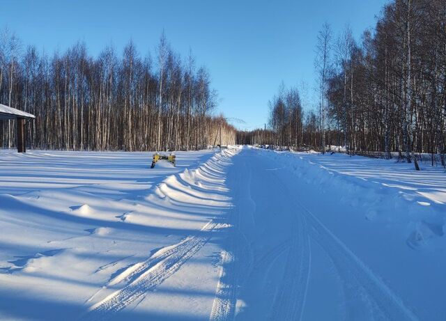 д Куюки ул Пихтовая Республика Татарстан Татарстан, Богородское сельское поселение, Казань фото