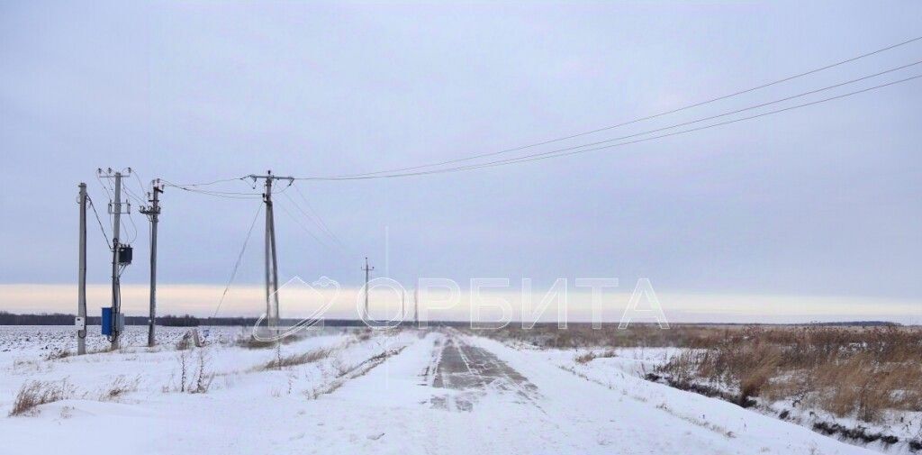 земля р-н Тюменский с Горьковка ул Сибирская фото 1