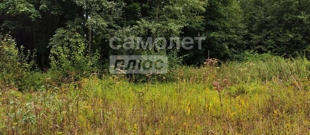 земля городской округ Рузский д Марково ул Кремичная фото 1