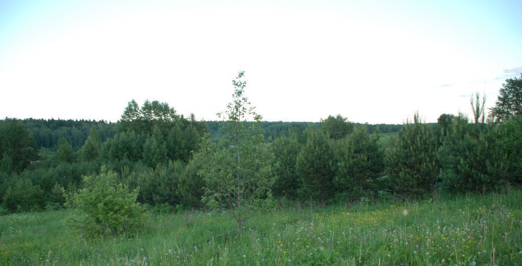 земля городской округ Дмитровский д Федоровское фото 3