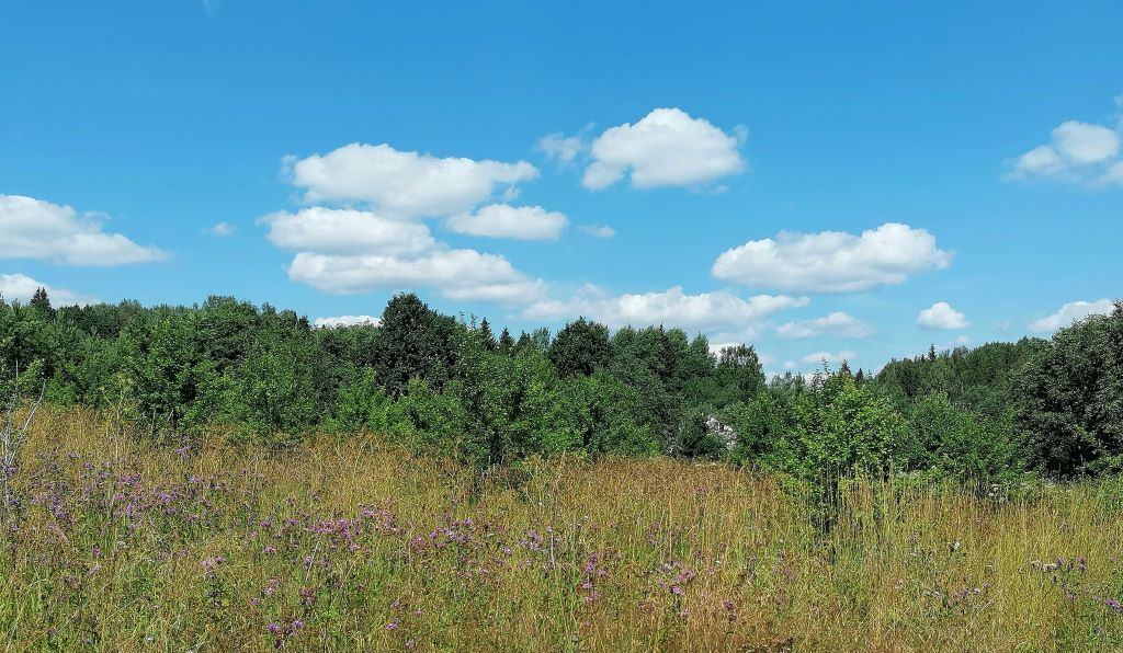 земля городской округ Дмитровский д Федоровское фото 6