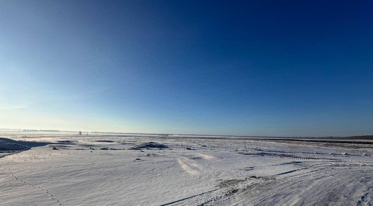 земля р-н Нижнекамский с Байгулово ул Шатлык 44 Каенлинское с/пос фото 5