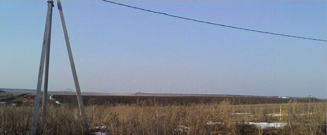 Новоалександровское муниципальное образование фото