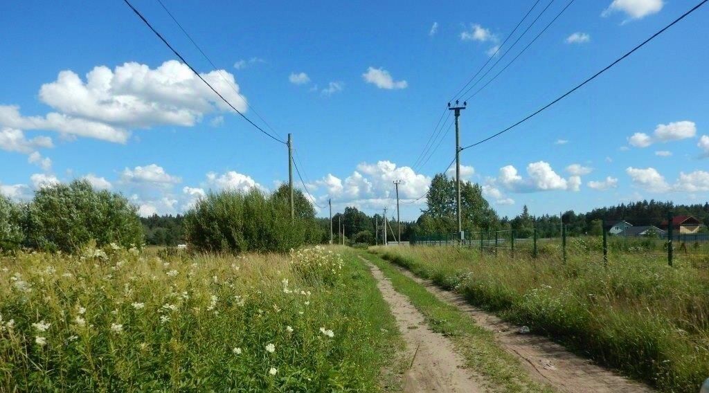 земля р-н Приозерский д Васильево ул Кедровая с пос, Красноозерное фото 4