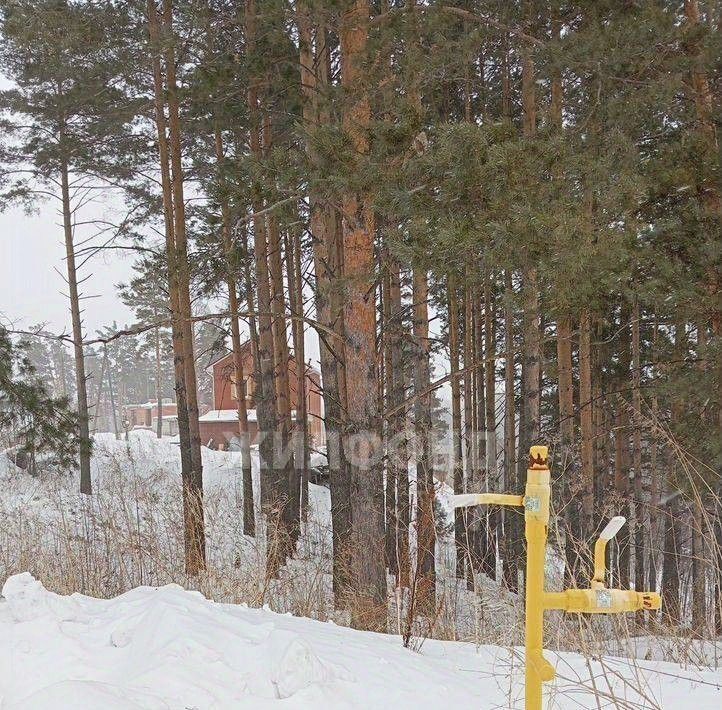 земля г Томск мкр Наука б-р Цветной р-н Советский фото 3