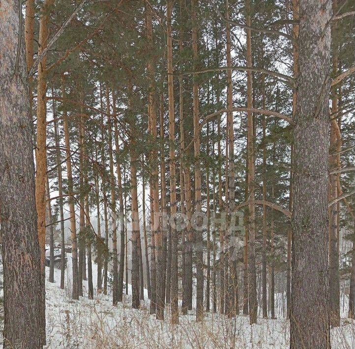 земля г Томск мкр Наука б-р Цветной р-н Советский фото 4