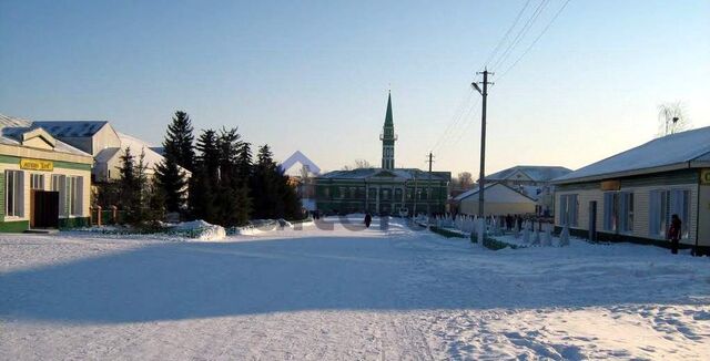 ул Школьная 7 Республика Татарстан Татарстан, муниципальное образование Богатые Сабы фото