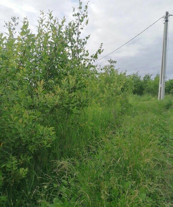 земля р-н Богородский д Каликино Московская, Вольный переулок фото 2