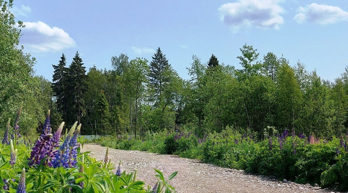 земля городской округ Наро-Фоминский д Турейка фото 3