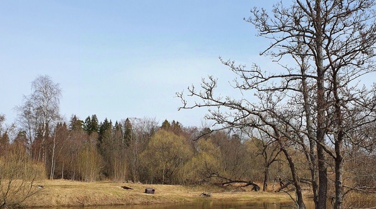 земля городской округ Наро-Фоминский д Турейка фото 7