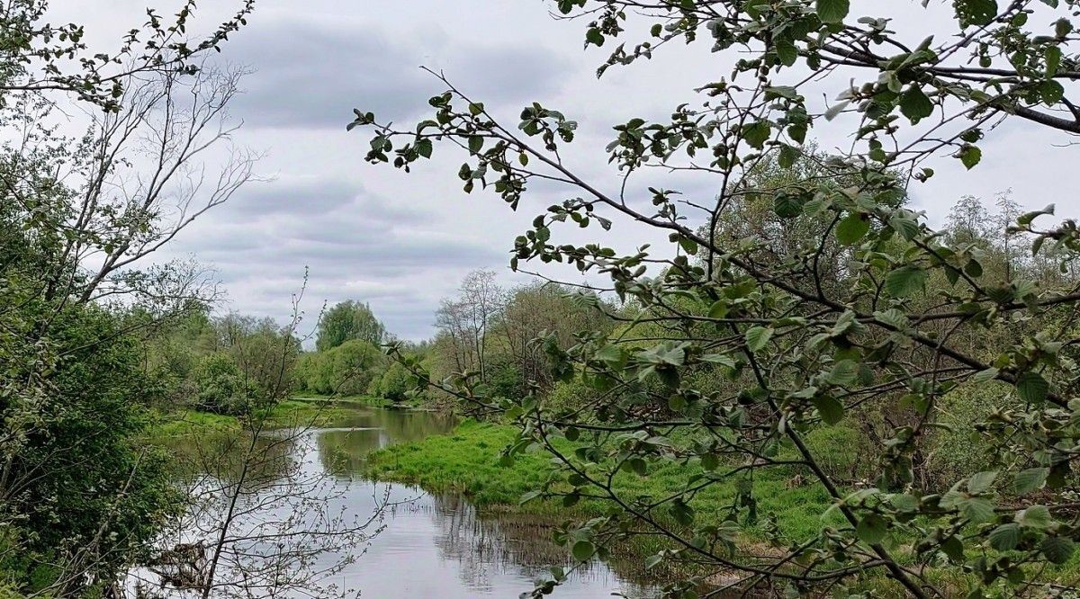 земля городской округ Наро-Фоминский д Турейка фото 11