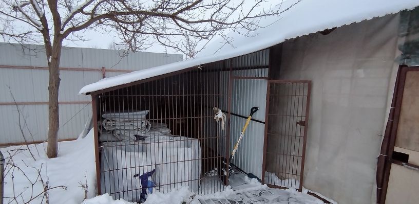 дом р-н Безенчукский с Екатериновка ул Фабричная сельское поселение Екатериновка, Безенчук фото 10