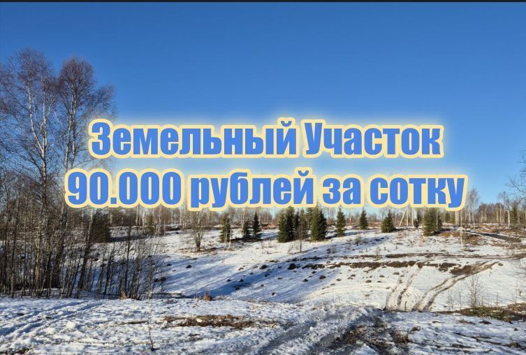 земля городской округ Клин 57 км, дп. Щучье Озеро, Озёрная ул, Клин, Ленинградское шоссе фото 1