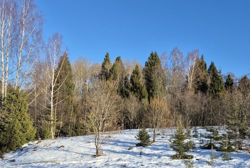 земля городской округ Клин 57 км, коттеджный пос. Малахитовые дачи, Клин, Ленинградское шоссе фото 3