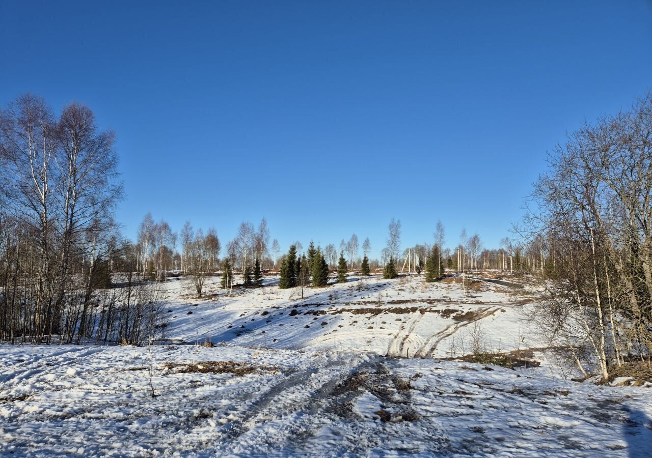 земля городской округ Клин 57 км, коттеджный пос. Малахитовые дачи, Клин, Ленинградское шоссе фото 4