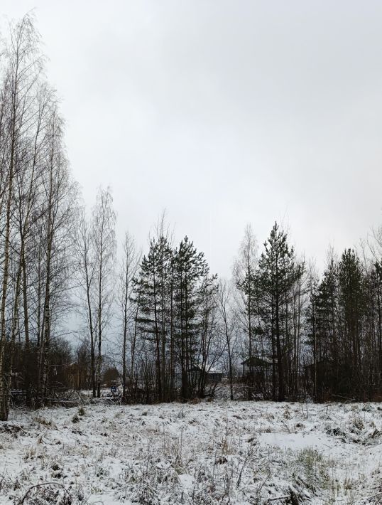 земля Всеволожское городское поселение, Щеглово Сити кп фото 1