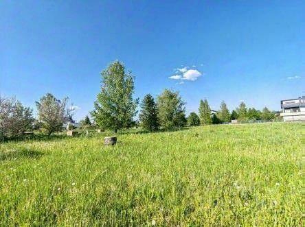 земля городской округ Истра д Лечищево Солнечногорск, Главная улица фото 3