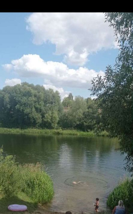 земля р-н Данковский с Требунки ул Центральная сельсовет, Требунский фото 1