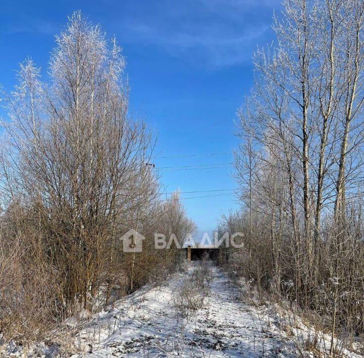 земля р-н Рыбинский д Бурково Судоверфское с/пос, 42 фото 3