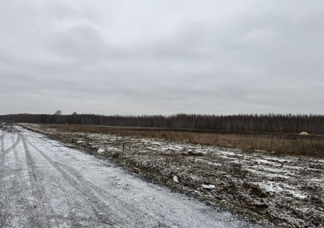 земля городской округ Раменский 25 км, коттеджный пос. Оттепель, Володарского, Новорязанское шоссе фото 7