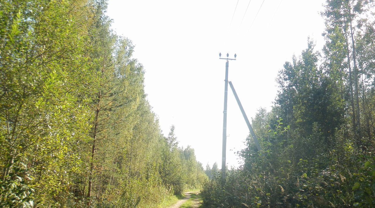 земля р-н Всеволожский Рахьинское городское поселение фото 6