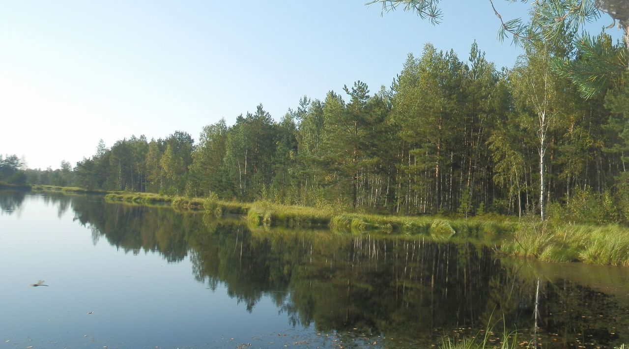 земля р-н Всеволожский Рахьинское городское поселение фото 12