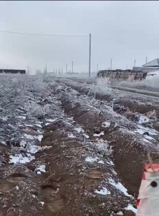 земля г Волгоград п им Гули Королевой р-н Советский ул Станичная тер. фото 1