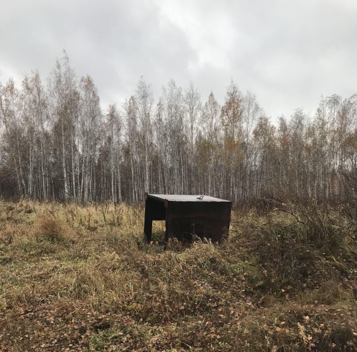 земля г Копейск снт Березка-4 фото 4