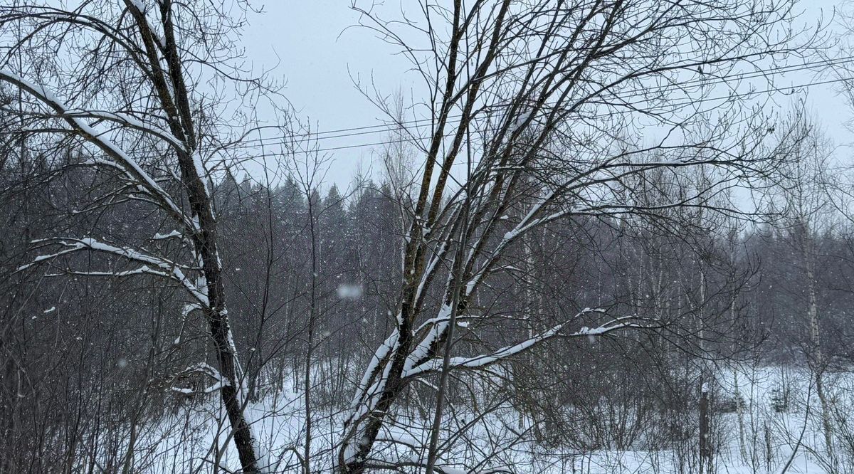 офис городской округ Солнечногорск д Пешки фото 1