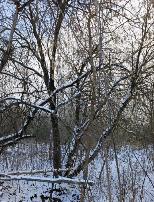 офис городской округ Талдомский г Талдом фото 1