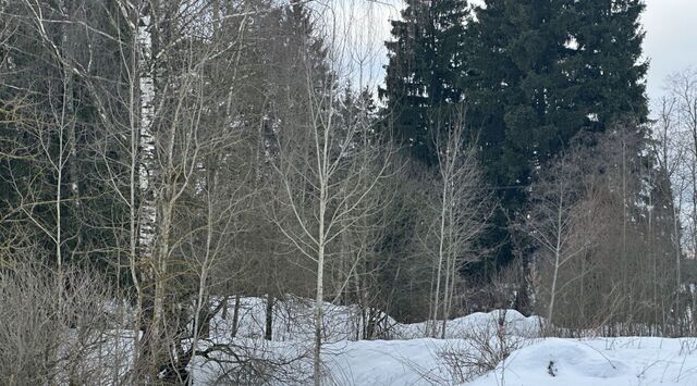 д Глебово ул Зеленая фото