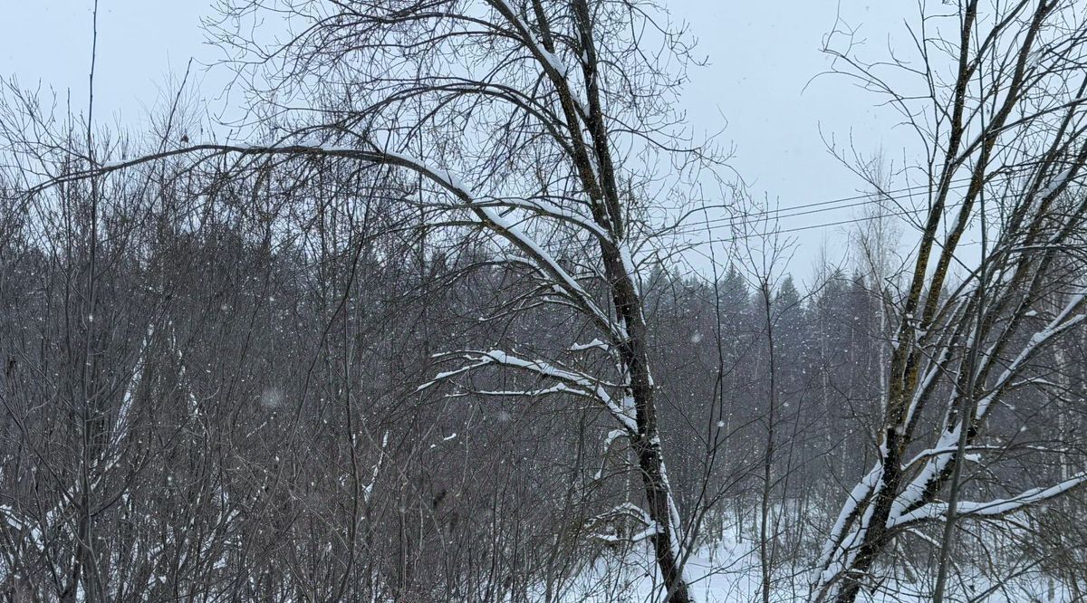 офис городской округ Солнечногорск д Пешки фото 2