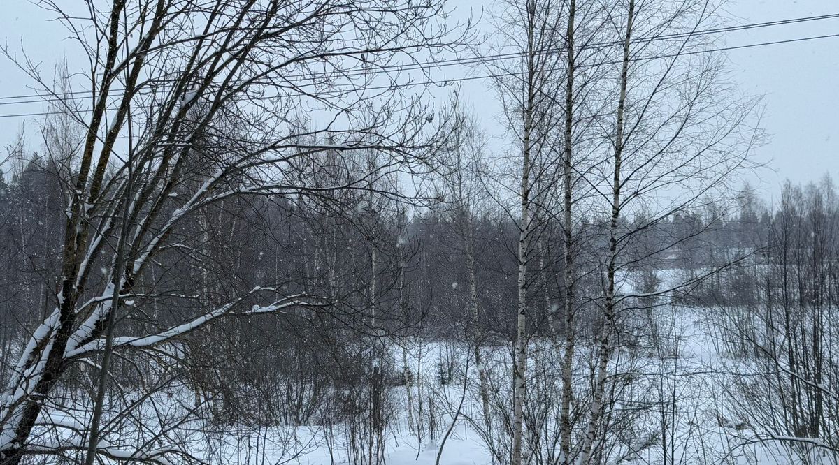 офис городской округ Солнечногорск д Пешки фото 3