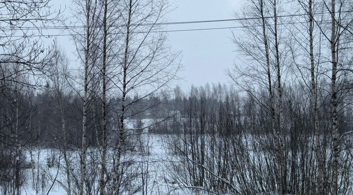 офис городской округ Солнечногорск д Пешки фото 4