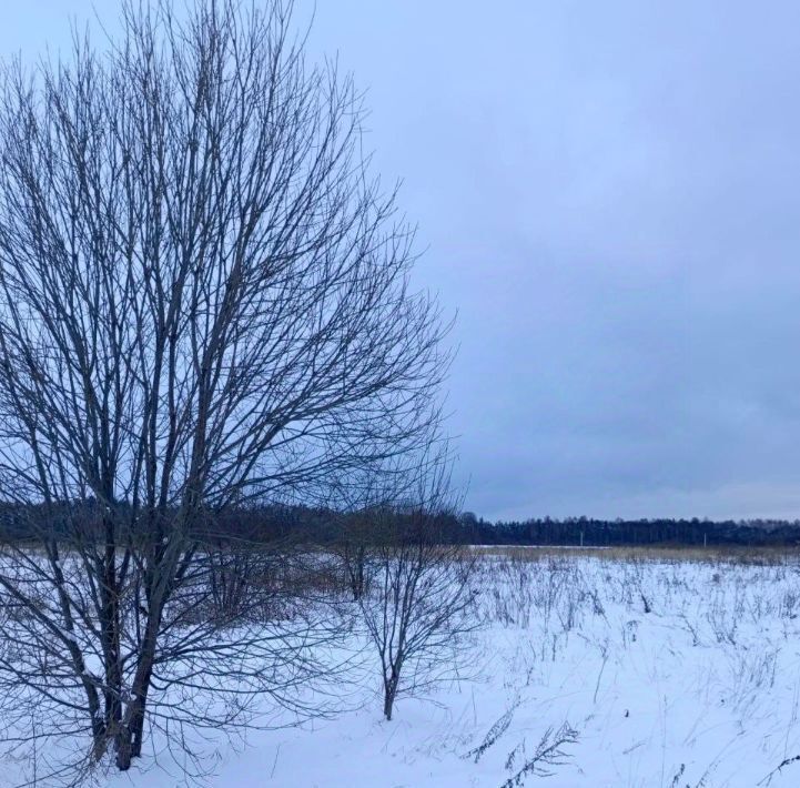 офис городской округ Талдомский д Новая Хотча фото 2