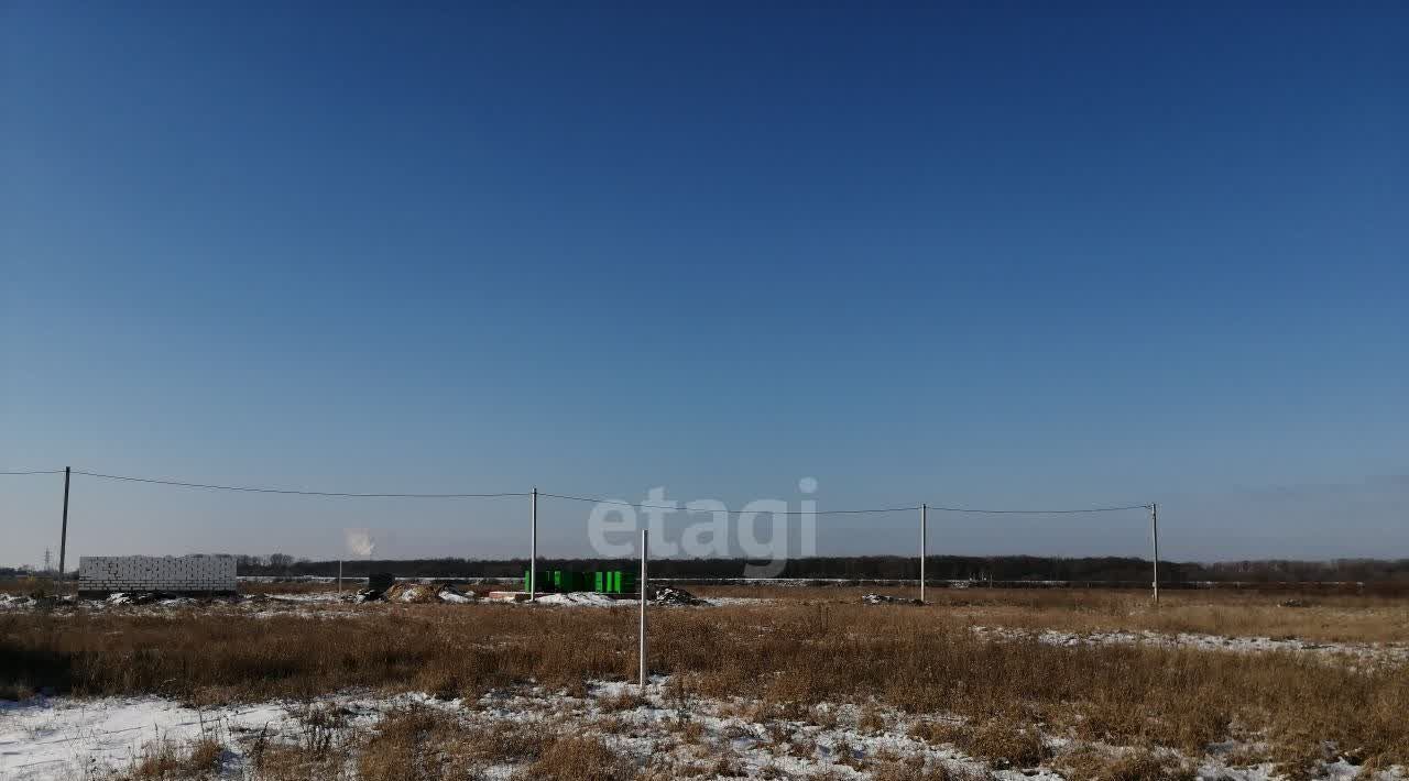 земля р-н Курский д Зорино Рышковский сельсовет фото 3