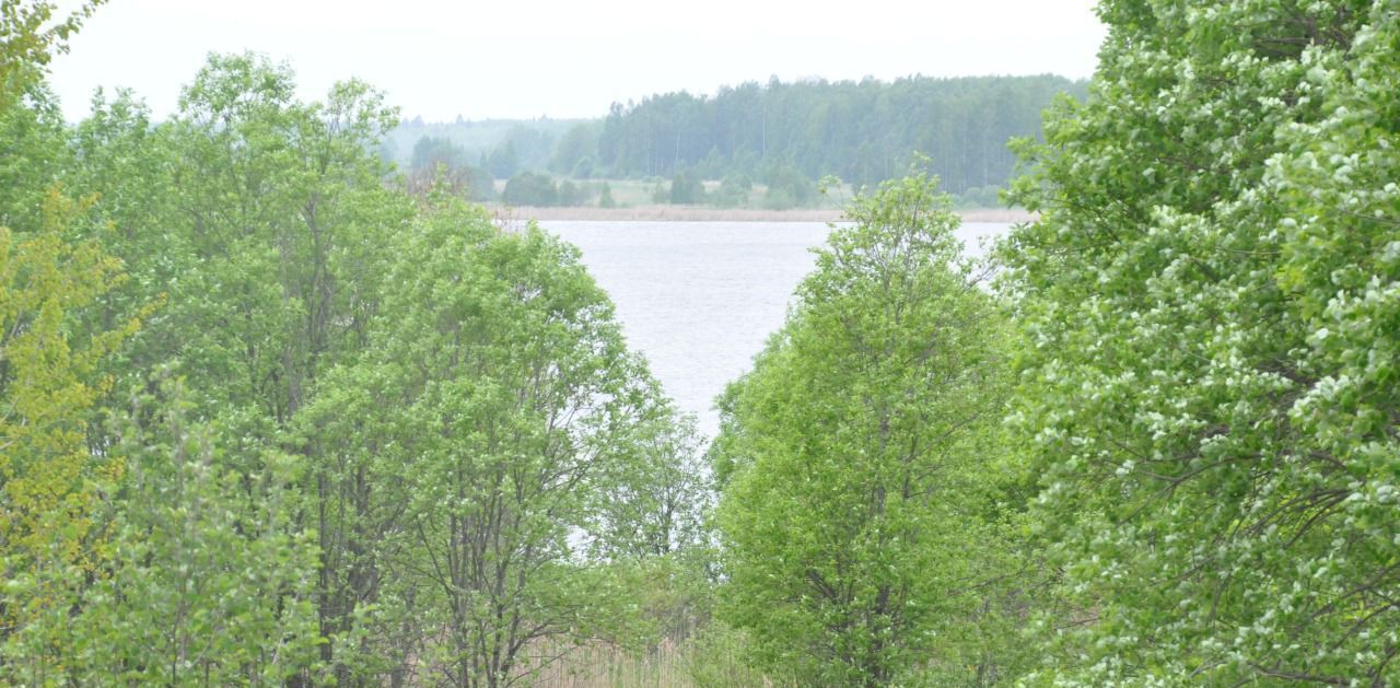 земля городской округ Шаховская д Сутоки фото 1