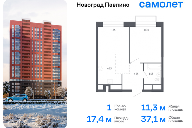 Балашиха городской округ, Новое Павлино м-н фото