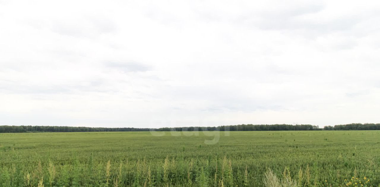 офис р-н Тюменский Новокаменский кп, ул. Васнецова фото 16