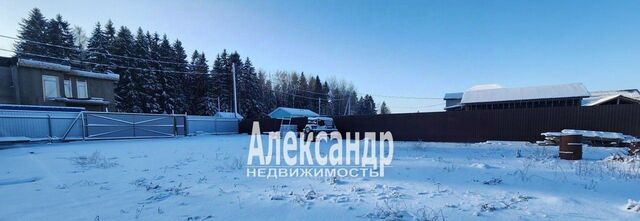 Виллозское городское поселение, Лесная Привилегия кп, 230 фото