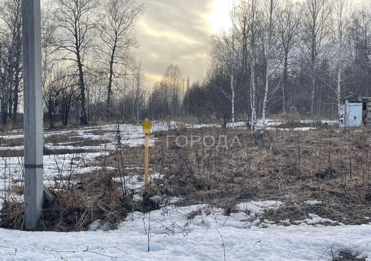 земля р-н Новосибирский п Каменушка Барышевский сельсовет, Новосибирск фото 4