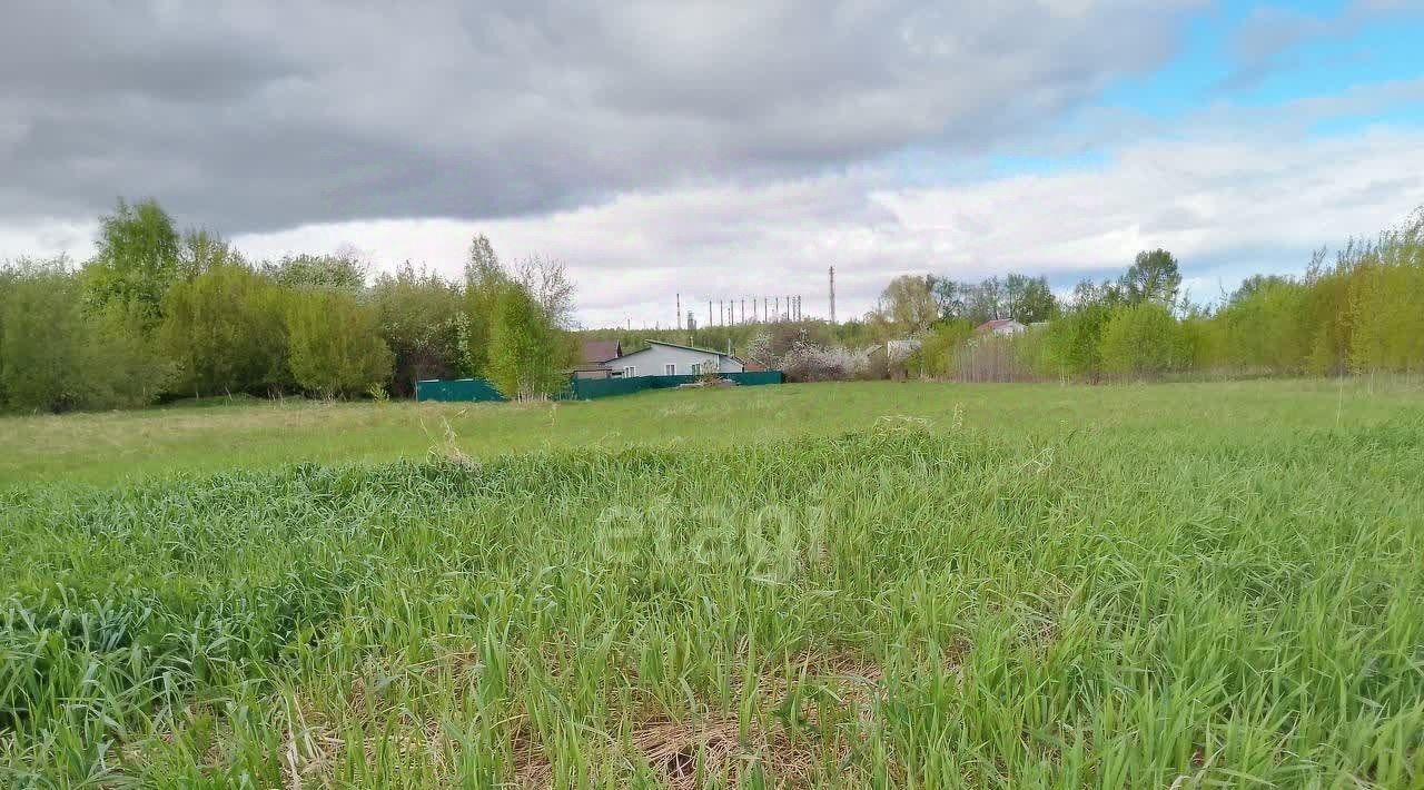 земля Кстовский муниципальный округ, д. Новая фото 3