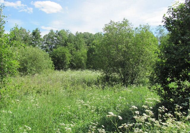 земля Трасса Скандинавия, 84 км, Советское городское поселение, Выборг фото