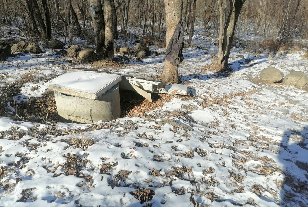 земля р-н Надеждинский п Раздольное ул Малиновского фото 2