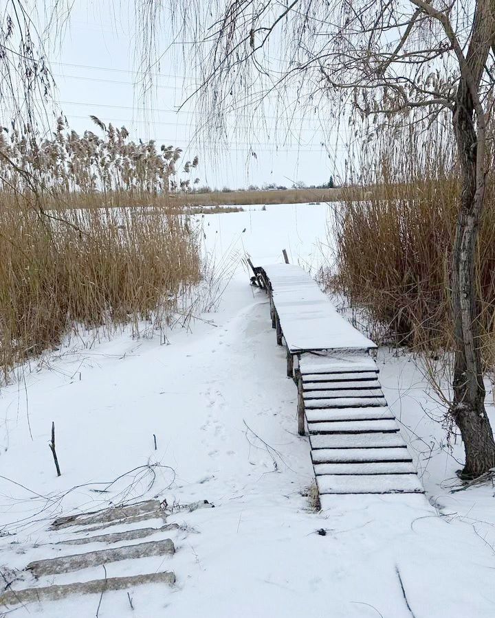 дом р-н Балаковский тер Натальинское муниципальное образование ДНТ Прогресс, Прибрежная ул., 242, Балаково фото 33