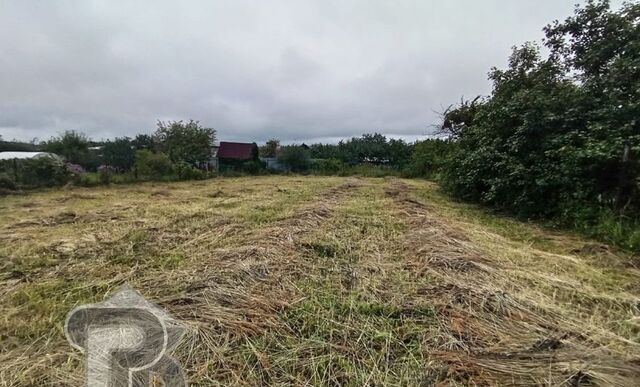 д Сапогово снт Биолог Пашковский сельсовет, Курск фото