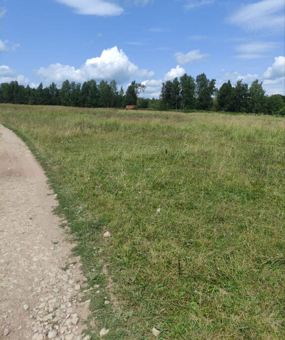 земля р-н Алексинский п Мичурина городской округ Алексин фото 3