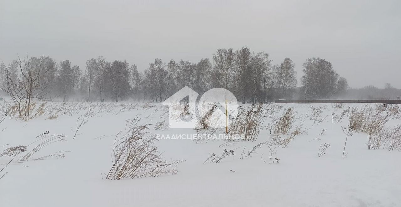 земля р-н Мошковский п Октябрьский Сокур фото 3