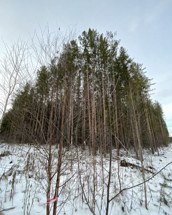 земля г Ревда с Мариинск Дегтярск фото 2